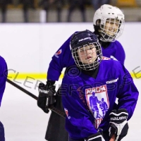 Ishockey C2 div 3 C SmŒland, Virserums SGF - Tingsryd AIF