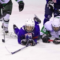 Ishockey C2 div 3 C SmŒland, Virserums SGF - Tingsryd AIF