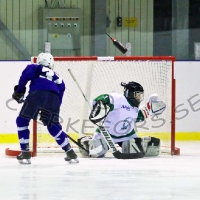 Ishockey C2 div 3 C SmŒland, Virserums SGF - Tingsryd AIF