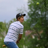 20110624, Familj & Vänner, Midsommar,