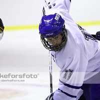 Ishockey Div 3, Virserum SGF Löfstad AIK: 5-4 e. str.