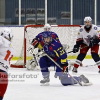 2011-11-13, Ishockey,  Åseda IF - Diö GoIF HK: 16 - 0