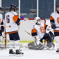 2011-12-09, Ishockey,  Åseda IF - Växjö Lakers: