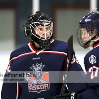 2011-12-11, Ishockey,  Åseda IF - Alvesta SK: 0-5