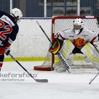 2011-12-22, Ishockey,  Åseda IF - Alvesta SK: 6-3