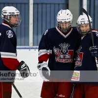 2011-12-22, Ishockey,  Åseda IF - Alvesta SK: 6-3