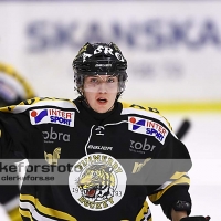 2012-01-27, Ishockey, Vimmerby Hockey - HC Vita Hästen: 2-4