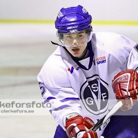 2012-01-29, Ishockey,  Virserum SGF - Lövstad Hockey: 4-6