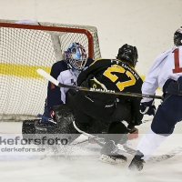 2013-03-02, Ishockey,  Pantern IK - Halmstad Hammers: