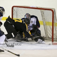 2013-03-02, Ishockey,  Pantern IK - Halmstad Hammers: