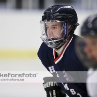 2012-08-19, Ishockey,  Halmstad Hammers - Helsingborg Hockey: