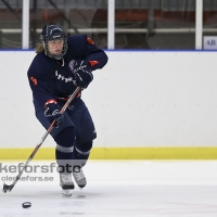 2012-08-19, Ishockey,  Halmstad Hammers - Helsingborg Hockey: