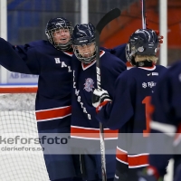 2012-08-19, Ishockey, Halmstad Hammers - Helsingborg Hockey: