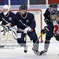 2012-08-19, Ishockey,  Halmstad Hammers - Helsingborg Hockey: