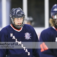 2012-08-19, Ishockey,  Halmstad Hammers - Helsingborg Hockey: