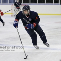 2012-08-19, Ishockey,  Halmstad Hammers - Helsingborg Hockey: