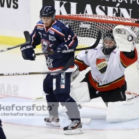 2012-08-24, Ishockey,  Halmstad Hammers - Nittorp IK: