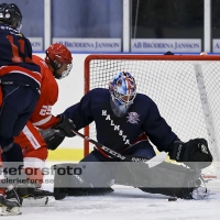 2012-08-25, Ishockey,  Halmstad Hammers - Limhamn HC: