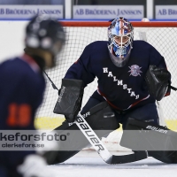 2012-08-25, Ishockey,  Halmstad Hammers - Limhamn HC: