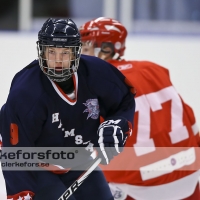 2012-08-25, Ishockey,  Halmstad Hammers - Limhamn HC: