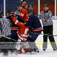 2012-08-25, Ishockey,  Halmstad Hammers - Limhamn HC: