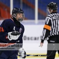 2012-08-25, Ishockey, Halmstad Hammers - Limhamn HC: