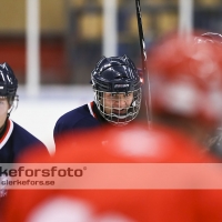 2012-08-25, Ishockey,  Halmstad Hammers - Limhamn HC: