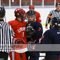 2012-08-25, Ishockey,  Halmstad Hammers - Limhamn HC: