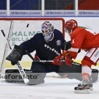 2012-08-25, Ishockey,  Halmstad Hammers - Limhamn HC: