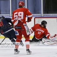 2012-08-25, Ishockey,  Halmstad Hammers - Limhamn HC: