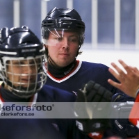 2012-08-25, Ishockey,  Halmstad Hammers - Limhamn HC: