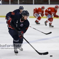 2012-08-25, Ishockey,  Halmstad Hammers - Limhamn HC: