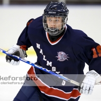 2012-08-25, Ishockey,  Halmstad Hammers - Limhamn HC: