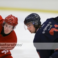 2012-08-25, Ishockey,  Halmstad Hammers - Limhamn HC: