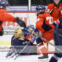 2012-09-15, Ishockey,  Halmstad Hammers - Hanhals: