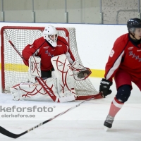 2012-09-15, Ishockey,  Hanhals - Mörrum/Olofström: