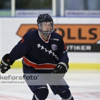 2012-10-14, Ishockey,  Halmstad Hammers - Lerum: