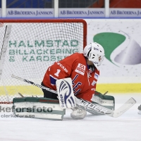 2012-10-14, Ishockey,  Halmstad Hammers - Lerum: