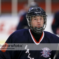 2012-10-14, Ishockey, Halmstad Hammers - Lerum: