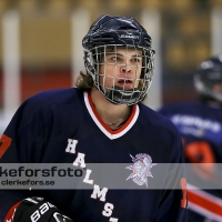 2012-10-14, Ishockey,  Halmstad Hammers - Lerum: