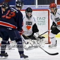 2012-10-27, Ishockey,  Halmstad Hammers - Grästorp IK: