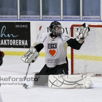 2012-10-27, Ishockey,  Halmstad Hammers - Grästorp IK: