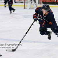 2012-10-27, Ishockey,  Halmstad Hammers - Grästorp IK: