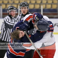 2012-11-24, Ishockey,  Halmstad Hammers - Hanhals IF: 8 - 6