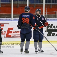 2012-11-24, Ishockey,  Halmstad Hammers - Hanhals IF: 8 - 6