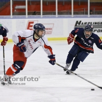 2012-11-24, Ishockey,  Halmstad Hammers - Hanhals IF: 8 - 6