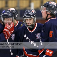 2013-01-12, Ishockey, Halmstad Hammers - Pantern Hockey: 8 - 5