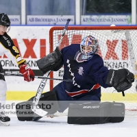 2013-01-12, Ishockey,  Halmstad Hammers - Pantern Hockey: 8 - 5