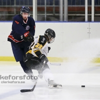 2013-01-12, Ishockey,  Halmstad Hammers - Pantern Hockey: 8 - 5