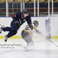 2013-01-12, Ishockey,  Halmstad Hammers - Pantern Hockey: 8 - 5